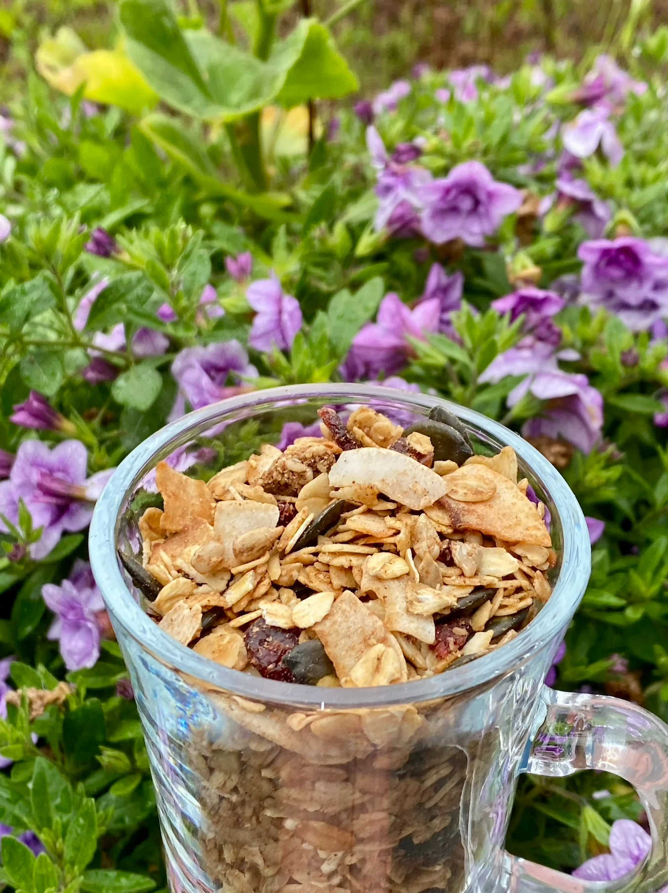 Organic Granola 350g
